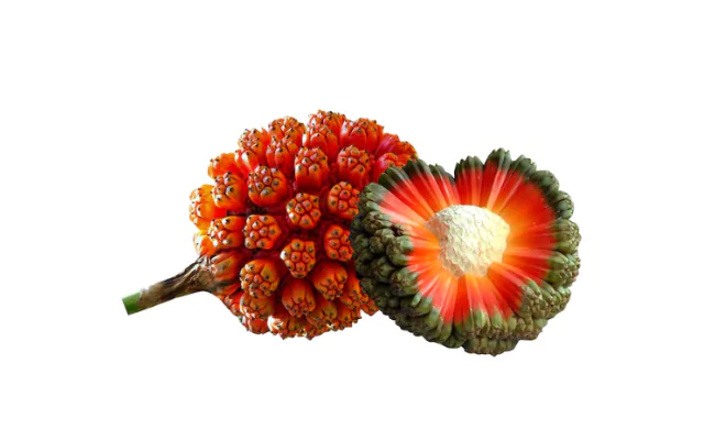 Hala Fruit