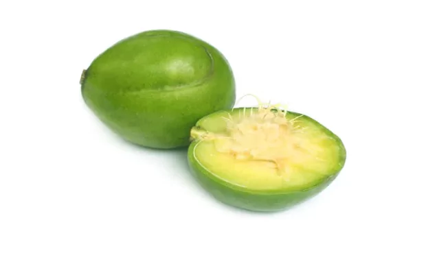 Hog Plum