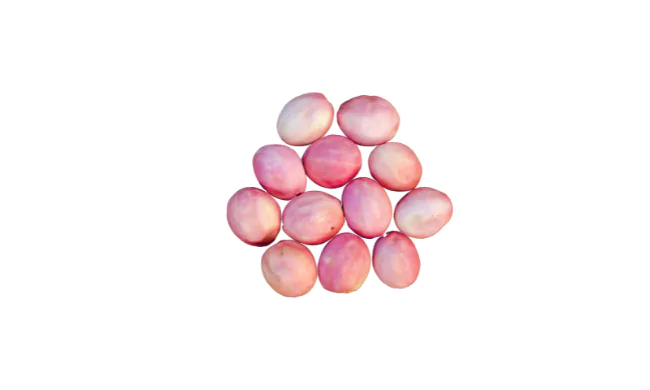 icaco