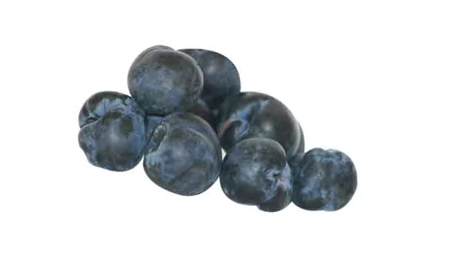 illawarra plum