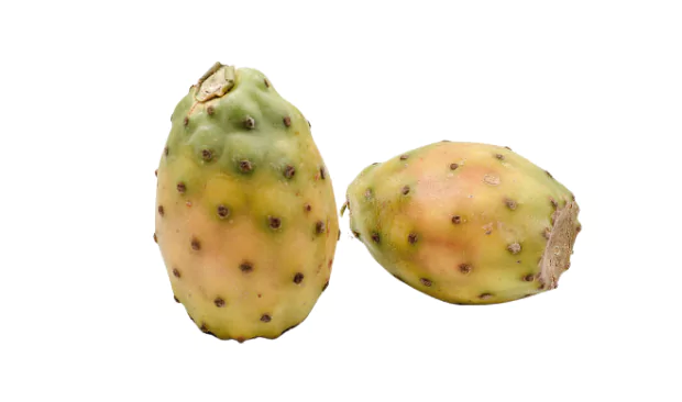 indian fig
