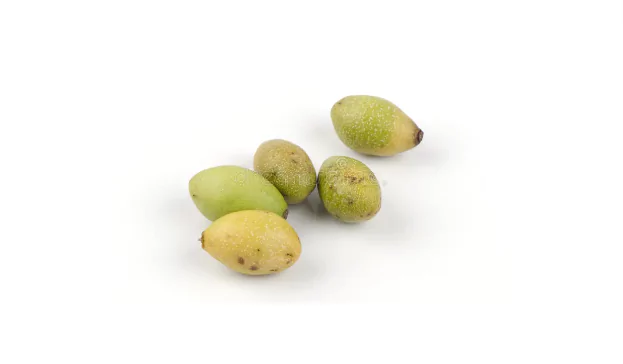 indian hog plum