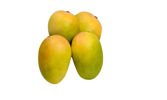 indian mango