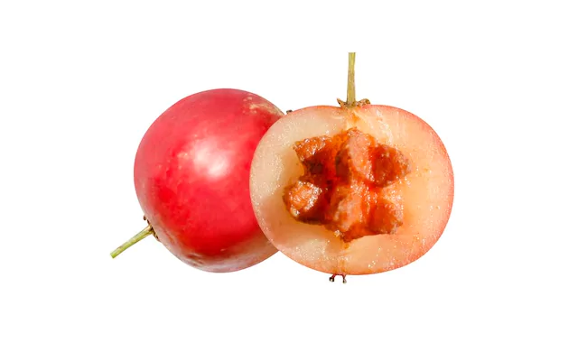 indian plum
