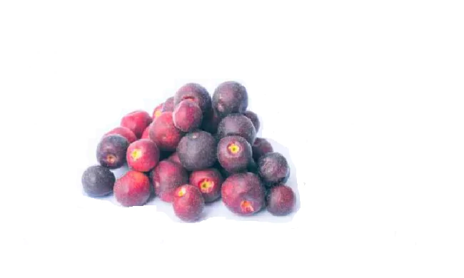 indian sherbet berry