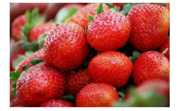 indian strawberry