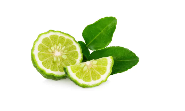indonesian lime