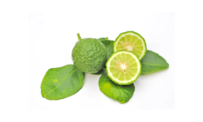 Kaffir Lime