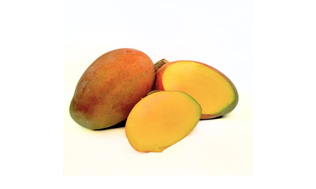 keitt-mango