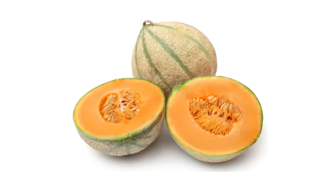 Rockmelon