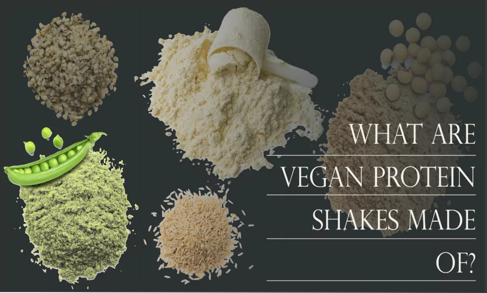 Vegan Protein Shakes Made of