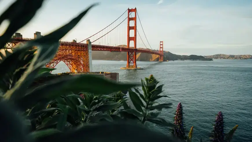 Vegan Restaurants in San Francisco - Best Vegan restaurants You Can trust On Now