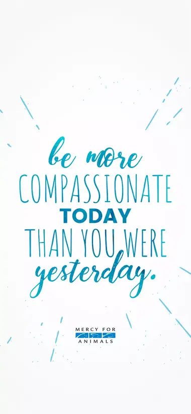 We Love Animals - Top Free Vegan wallpaper that Will Inspire You