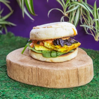 Vegan Burger At Wizard Burger In Albany